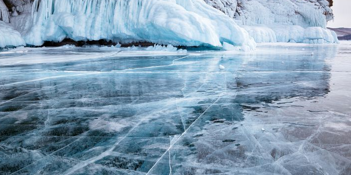 Bacteria die when they are Refrigerated or Frozen?