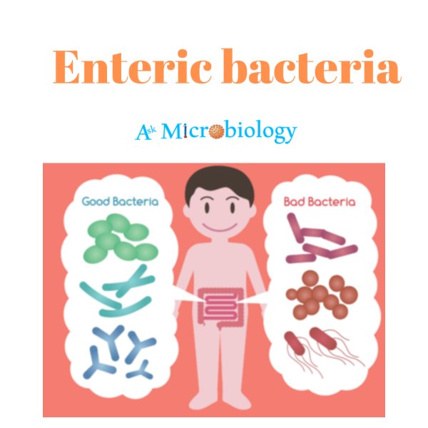 Enteric Bacteria
