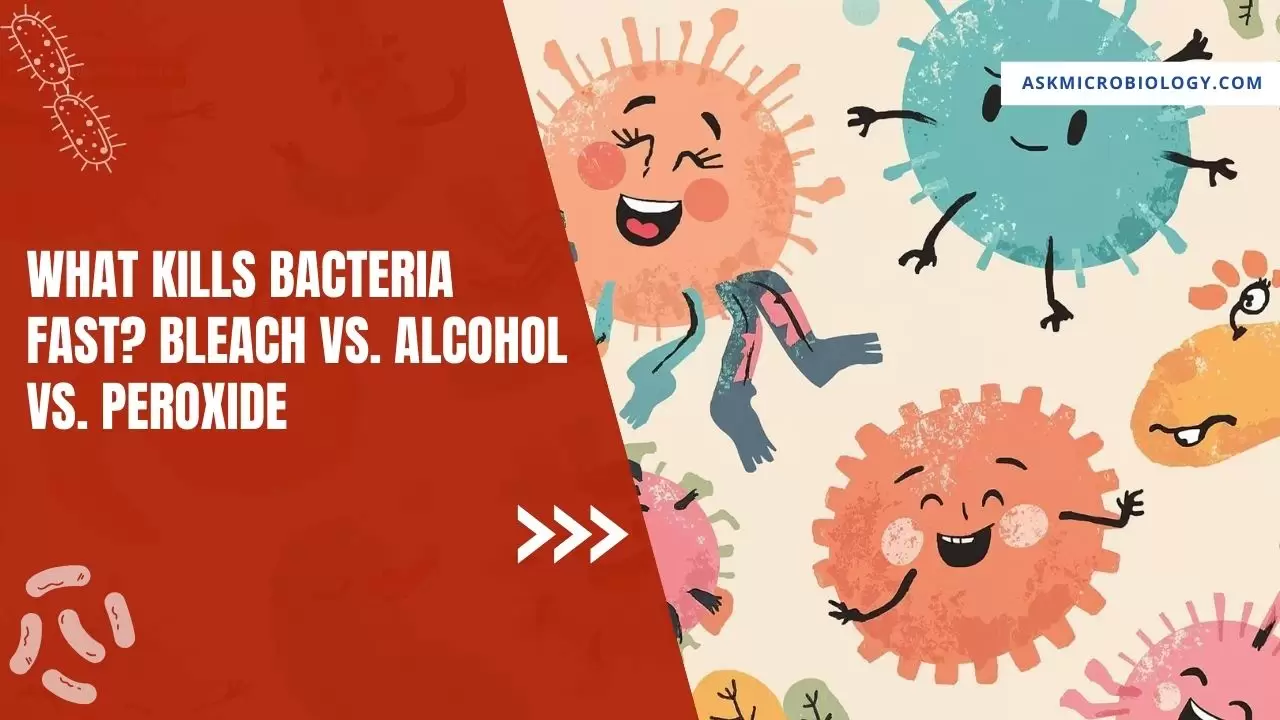 What Kills Bacteria Fast? Bleach vs. Alcohol vs. Peroxide (Plus Fabrics & Food)