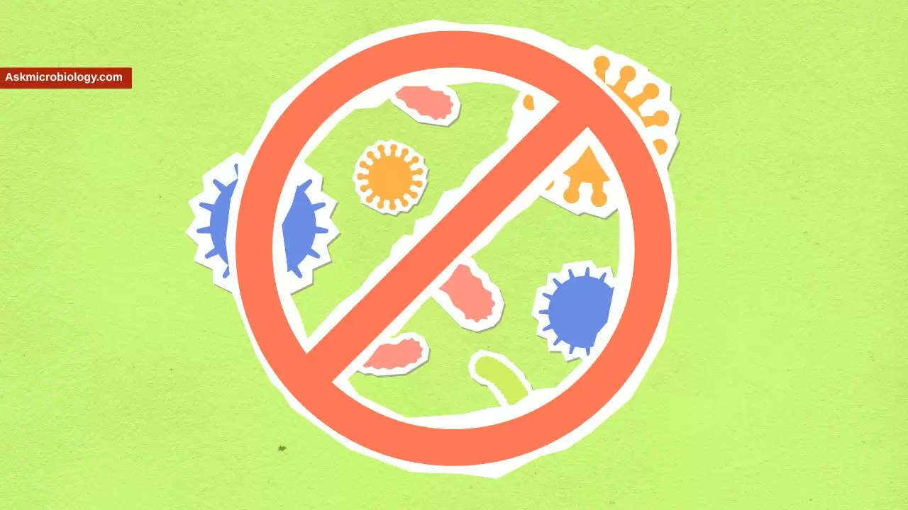 What Temperature Kills Food Bacteria? Cooking, Holding & Reheating Charts