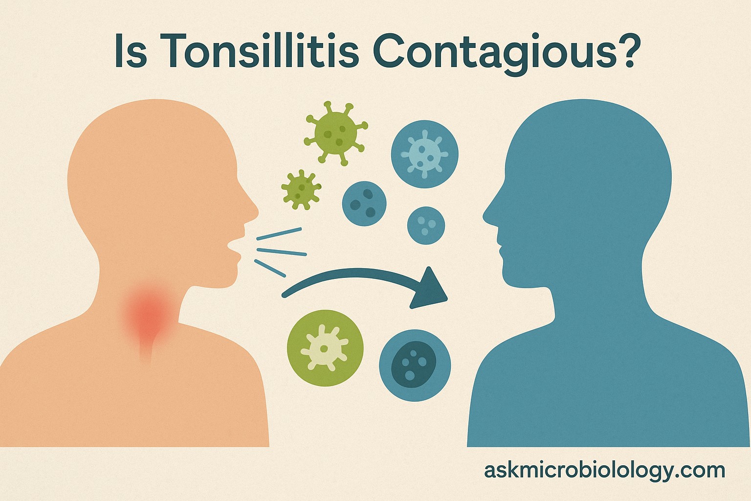 Is Tonsillitis Contagious? Bacterial vs Viral, How Long, and Prevention
