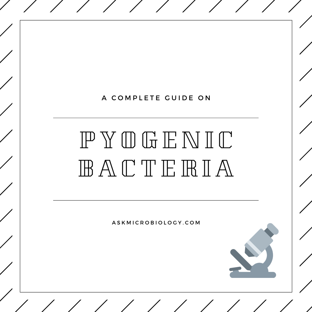 Pyogenic Bacteria